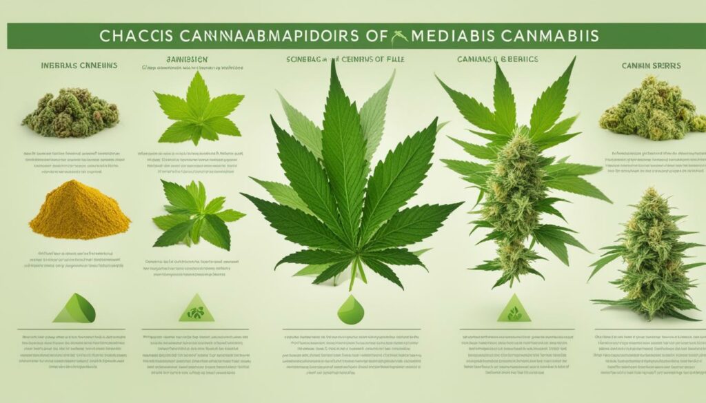 Genética da Cannabis Medicinal